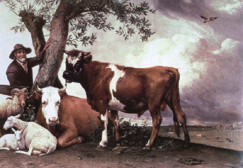 POTTER, Paulus the bull Germany oil painting art